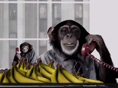 Ad Monkey: Free Bananas