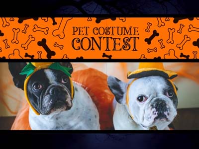 RCN Pet Halloween Contest
